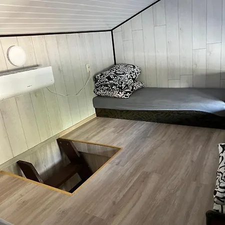 Aleksander موتيل