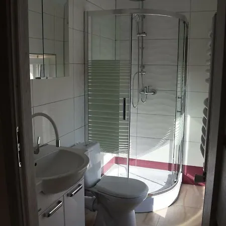 Aleksander موتيل *