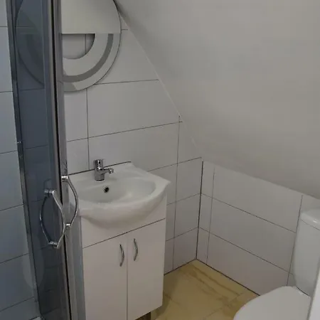 Aleksander موتيل Siechnice